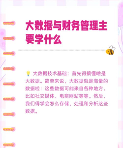 2024大数据与财务管理专业学什么 2024大数据与财务管理专业学什么