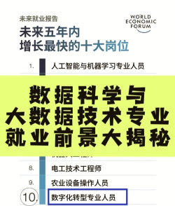 2024数据科学与大数据技术就业方向 2024数据科学与大数据技术就业方向