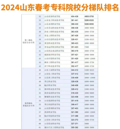 2024山东高考录取专业排名 2024山东高考录取专业排名