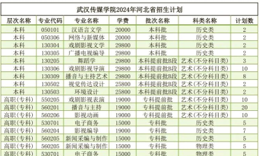 2024武汉大学专业传媒排名 2024武汉大学专业传媒排名
