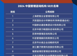 中国咨询行业专业排名 中国咨询行业专业排名