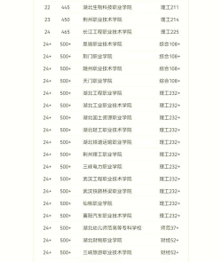 2024湖北艺术教育专业排名 2024湖北艺术教育专业排名