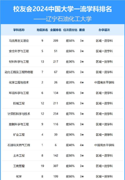 2024年化工专业学校等级排名榜 2024年化工专业学校等级排名榜