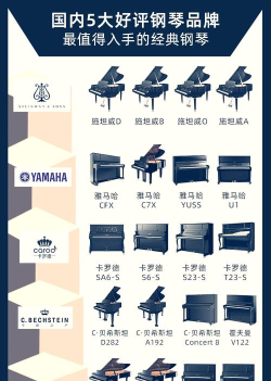 本科国外钢琴专业排名 本科国外钢琴专业排名