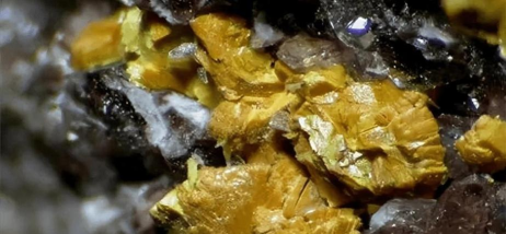 2024年铀矿地质专业排名 2024年铀矿地质专业排名