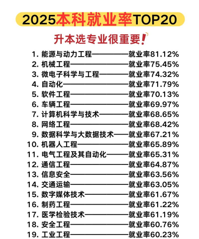 2025年黑工程专业就业排名 2025年黑工程专业就业排名