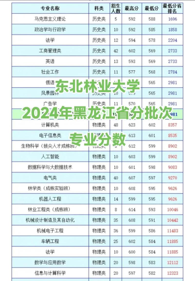 2024东北林业高校专业排名 2024东北林业高校专业排名