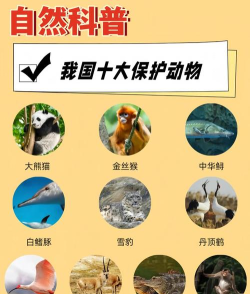 2025年保护动物最好的专业排名 2025年保护动物最好的专业排名