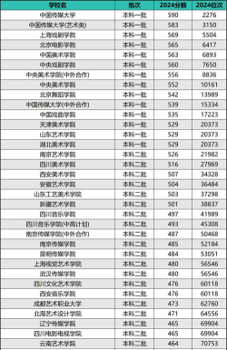 2024年全国艺考专业排名 2024年全国艺考专业排名