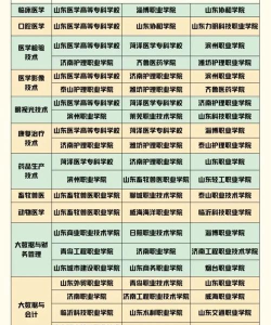 2024年山东职业学有什么专业 2024年山东职业学有什么专业