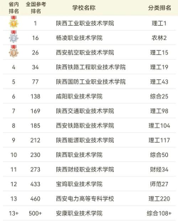 2024年高职院校专业排名陕西 2024年高职院校专业排名陕西