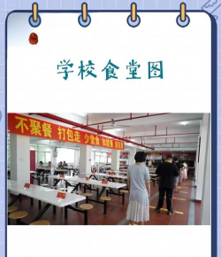 漳州学院最好专业排名 漳州学院最好专业排名