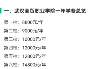 2024年武汉电商专业排名 2024年武汉电商专业排名