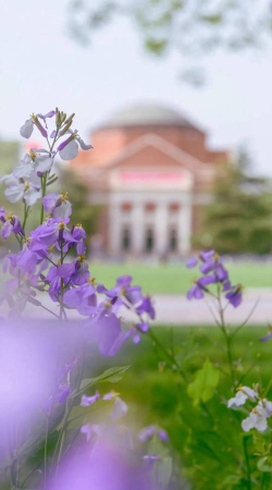 2024年清华女生能上的专业是 2024年清华女生能上的专业是
