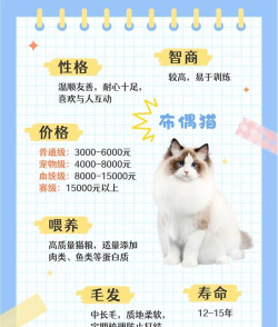 2024年大专宠物专业推荐女生 2024年大专宠物专业推荐女生