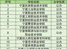 2024年宁夏艺术专业院校排名 2024年宁夏艺术专业院校排名