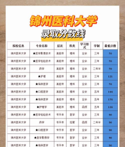 2025年锦州医学专业排名 2025年锦州医学专业排名