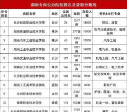 湖南动漫专业大专排名 湖南动漫专业大专排名