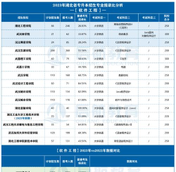 2024湖北省软件专业排名 2024湖北省软件专业排名
