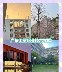 广州广源工贸职业技术学校2024年招生要求 广州广源工贸职业技术学校2024年招生要求