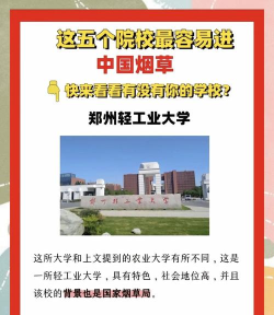 烟草公司上什么大学 烟草公司上什么大学