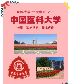 中国医科大学有哪几个校区及校区地址公交站点 中国医科大学有哪几个校区及校区地址公交站点
