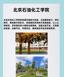 北京石油化工学院有哪几个校区及校区地址公交站点 北京石油化工学院有哪几个校区及校区地址公交站点