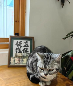 西安美术学院有哪几个校区及校区地址公交站点 西安美术学院有哪几个校区及校区地址公交站点