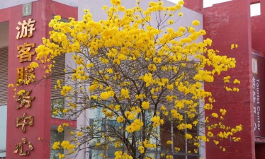 广西农业工程职业技术学院有哪几个校区及校区地址公交站点 广西农业工程职业技术学院有哪几个校区及校区地址公交站点