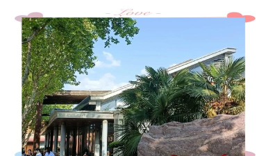 郑州商学院是985还是211 郑州商学院是985还是211