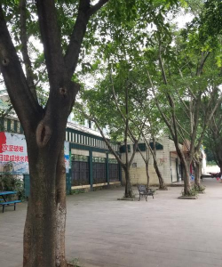 峨眉山市高铁学校有哪些 峨眉山市高铁学校有哪些