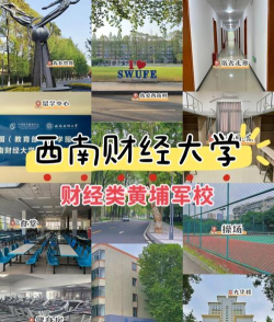 西南财经大学2+2国际本科报考条件是什么 西南财经大学2+2国际本科报考条件是什么