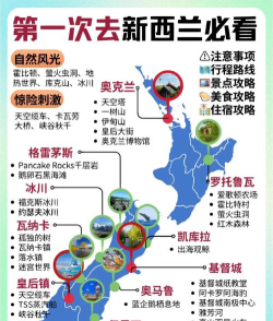 2024国际高中学什么可以去新西兰 2024国际高中学什么可以去新西兰