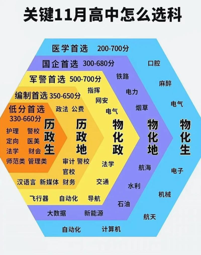 2024国际高中选修课选哪些科目 2024国际高中选修课选哪些科目