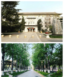 2024北京外国语学校留学难吗 2024北京外国语学校留学难吗