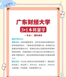 2024广东财经大学国际预科班怎么样 2024广东财经大学国际预科班怎么样