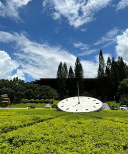 放弃211去深圳大学值得吗 放弃211去深圳大学值得吗