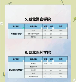 湖北大学4+0/3+1/2+2国际本科学费一年多少钱 湖北大学4+0/3+1/2+2国际本科学费一年多少钱