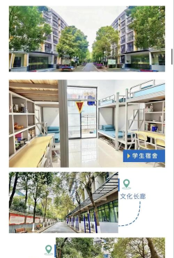 2024年金华中考300-400分可以上的职业学校 2024年金华中考300-400分可以上的职业学校