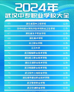 2024年武汉中考250分左右可以上的职业学校 2024年武汉中考250分左右可以上的职业学校