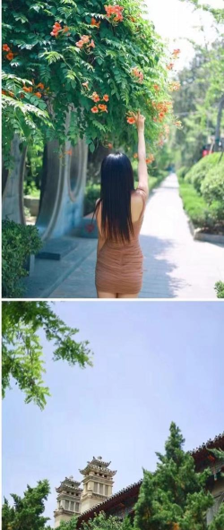 河南大学口碑怎么样 河南大学口碑怎么样