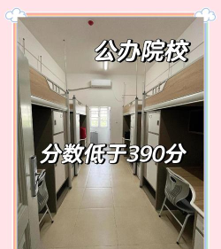 2024年陇南中考200分左右可以上的职业学校 2024年陇南中考200分左右可以上的职业学校