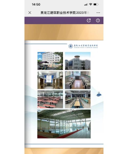 黑龙江建筑职业技术学院中外合作办学学费多少钱 黑龙江建筑职业技术学院中外合作办学学费多少钱