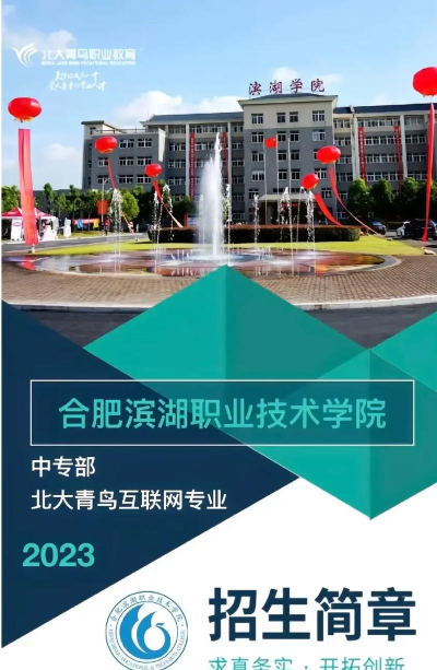 合肥滨湖职业技术学院单招怎么样 合肥滨湖职业技术学院单招怎么样