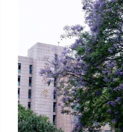 2025美术生文化课504分能上四川轻化工大学吗 2025美术生文化课504分能上四川轻化工大学吗