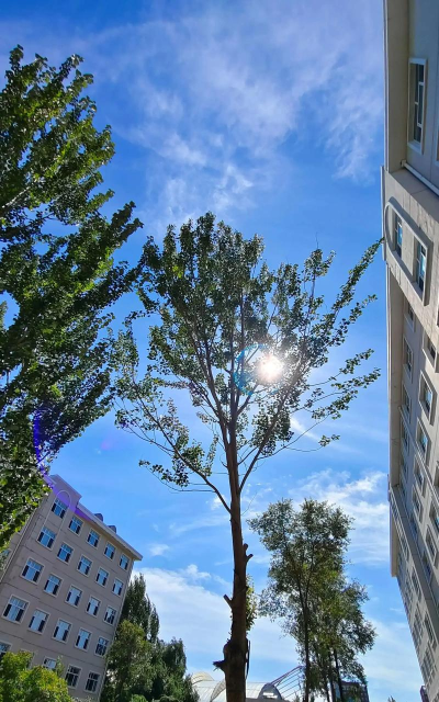 黑龙江八一农垦大学VS山东工程职业技术大学哪个实力更强 黑龙江八一农垦大学VS山东工程职业技术大学哪个实力更强