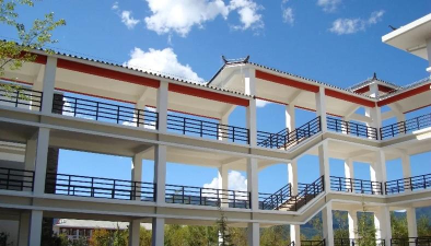 丽江文化旅游学院VS沈阳理工大学哪个实力更强 丽江文化旅游学院VS沈阳理工大学哪个实力更强