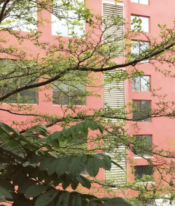 大理大学VS海南科技职业大学哪个实力更强 大理大学VS海南科技职业大学哪个实力更强