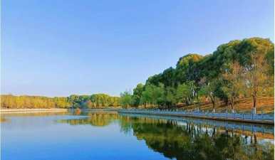 武汉体育学院VS广东科技学院哪个实力更强 武汉体育学院VS广东科技学院哪个实力更强