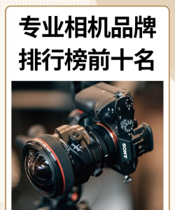 2024摄影专业权威排名 2024摄影专业权威排名